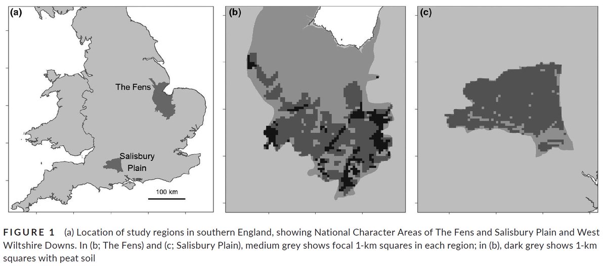 To contribute to this debate, we designed some complicated-sounding but ultimately quite simple scenarios for the peaty part of the East Anglian Fens and the chalky part of Salisbury Plain 3/