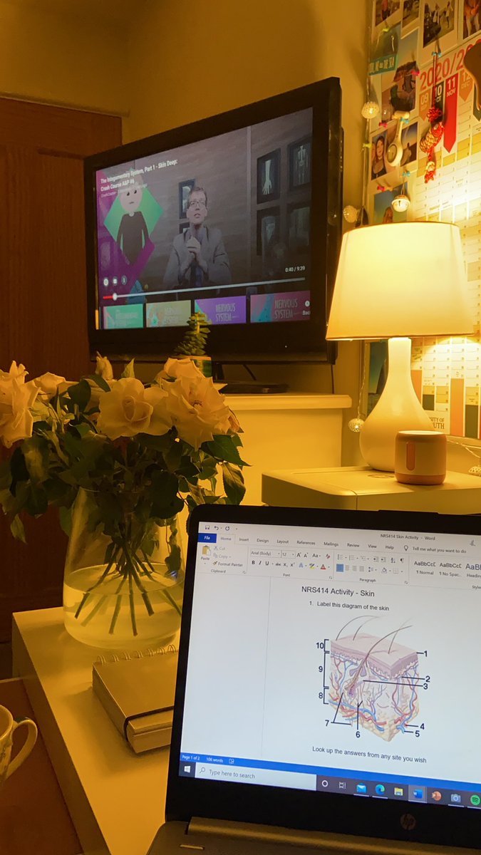 Watching <a href="/TheCrashCourse/">CrashCourse</a> Anatomy and Physiology videos in preparation for day 4 of NRS414. #BioTeamTom #NRS414 #PUNC20