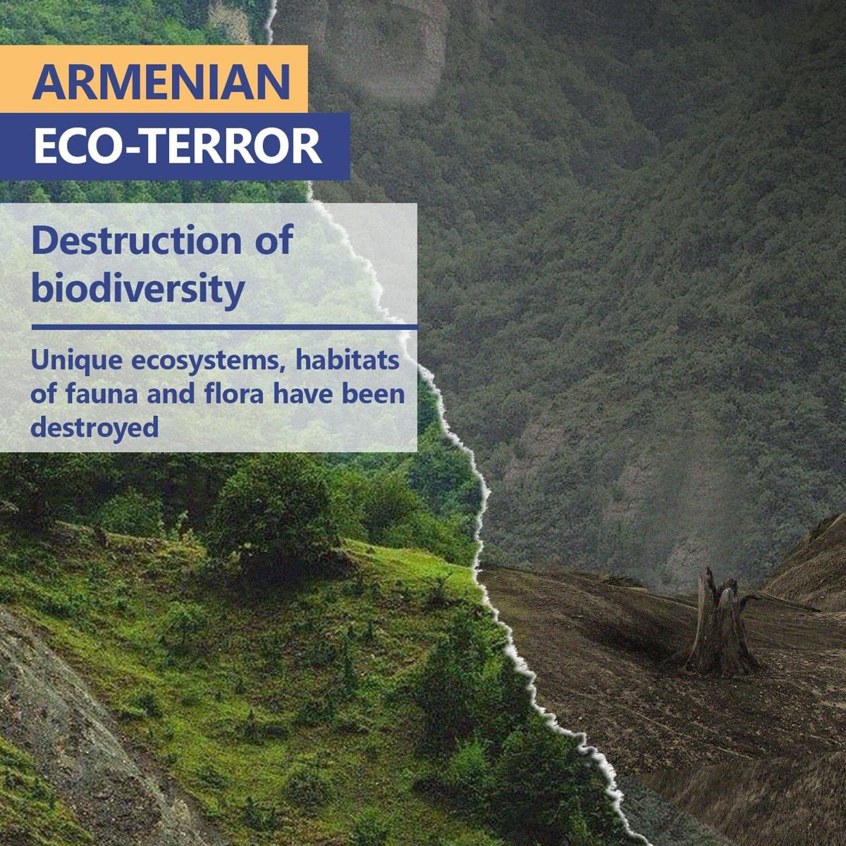 This is #EcoTerrorism, this #EcoVandalism! Stop Armenian barbarism!

#StopArmenianEcoTerrorism #StopArmenianEcocide
#EnvironmentalCrime
#Ecoterrorism