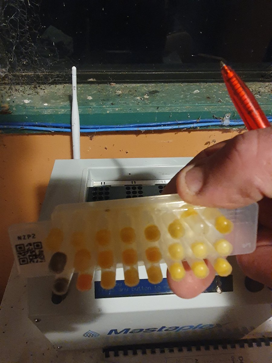 And I get an email back telling me what bug she has and best antibiotic to use, or whether its untreatable. Given where things are heading in terms of concerns around antimicrobial resistance a wise investment i think.