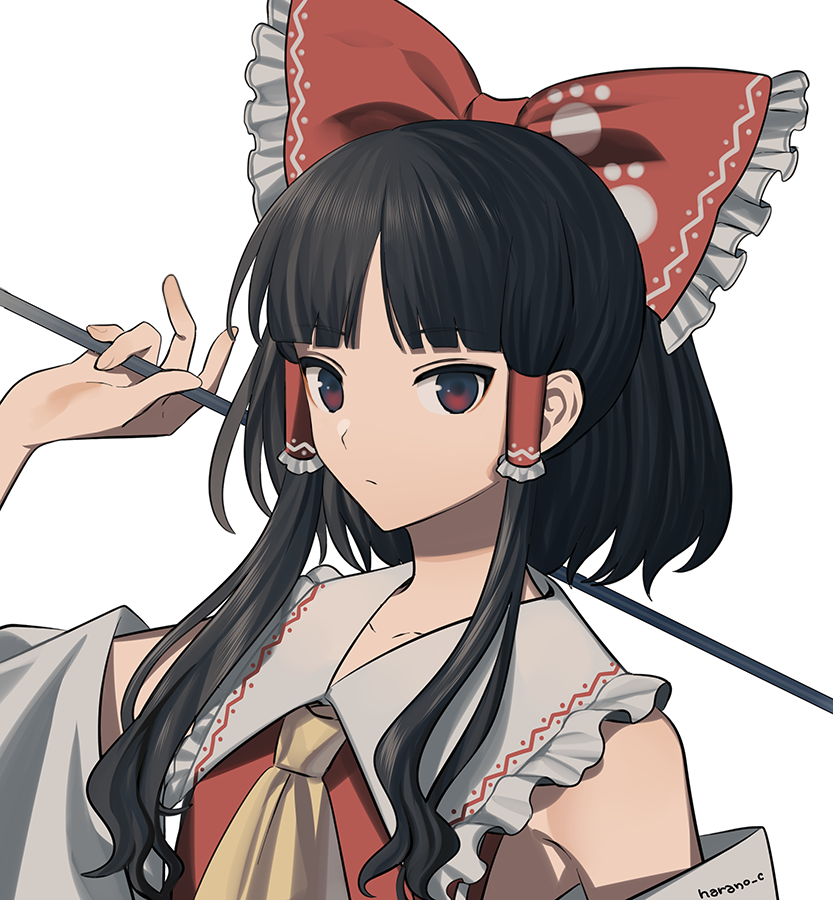 hakurei reimu 1girl solo red bow bow black hair hair tubes detached sleeves  illustration images