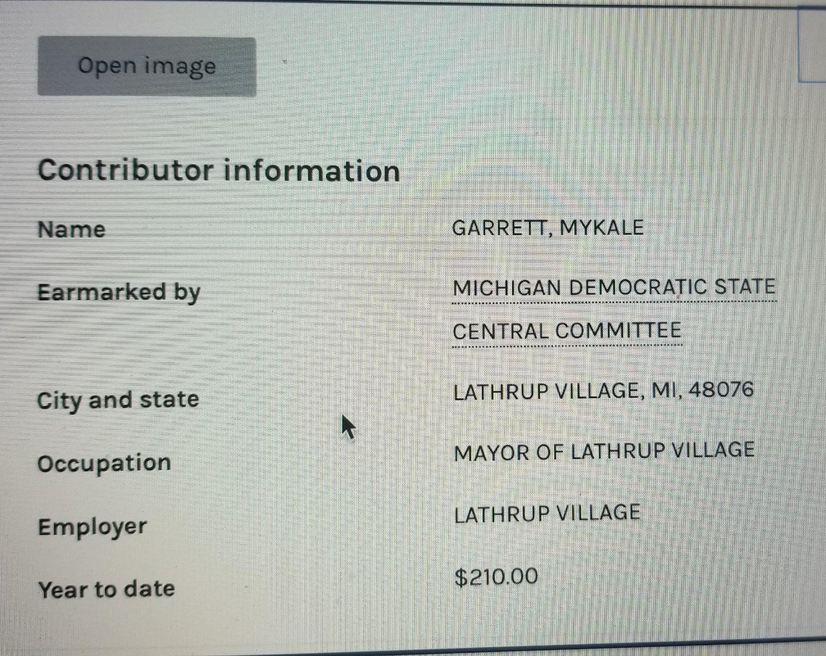 Mykale Garrett, former Dominion project manager, now goes by Kelly Garrett and is the Mayor of Lathrup Village, Michigan. Conveniently left Dominion in 2019 to become involved heavily in Michigan politics having a full understanding of the machines in a swing-state?
