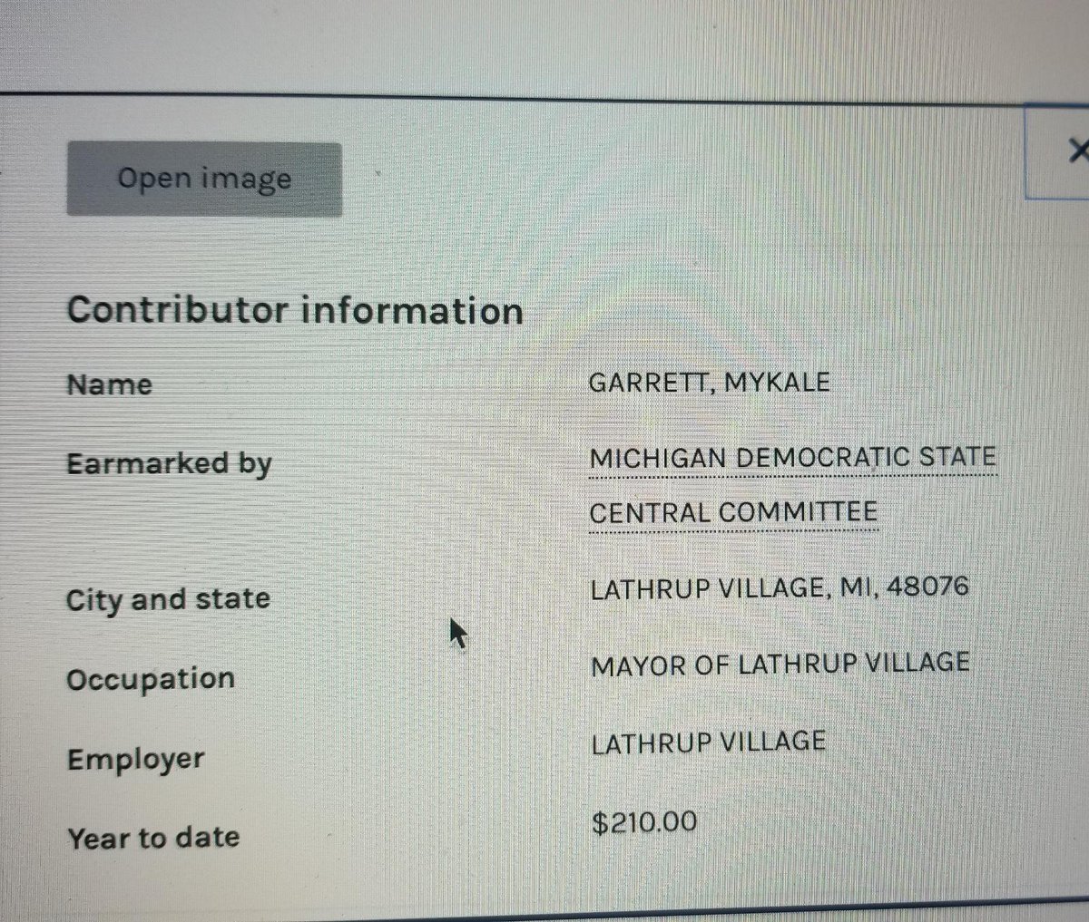 Mykale Garrett, former Dominion project manager, now goes by Kelly Garrett and is the Mayor of Lathrup Village, Michigan. Conveniently left Dominion in 2019 to become involved heavily in Michigan politics having a full understanding of the machines in a swing-state?