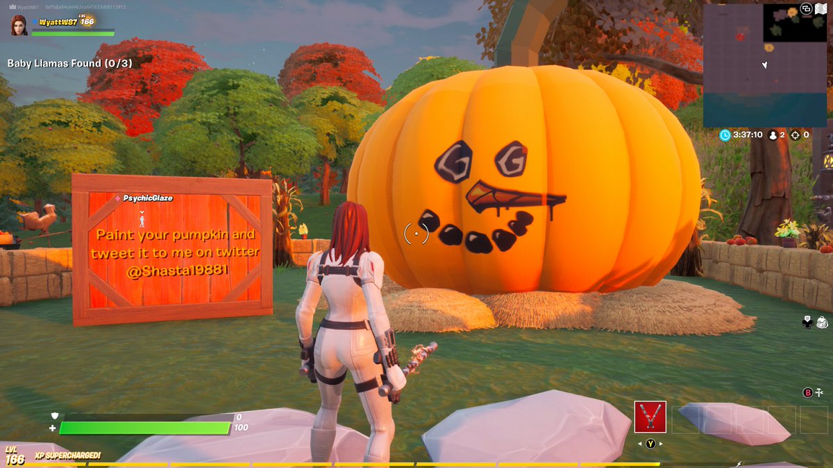 WatkinsonWyatt's tweet photo. @shasta19881 #Fortnite #XboxShare https://t.co/6CbaWQHGSD