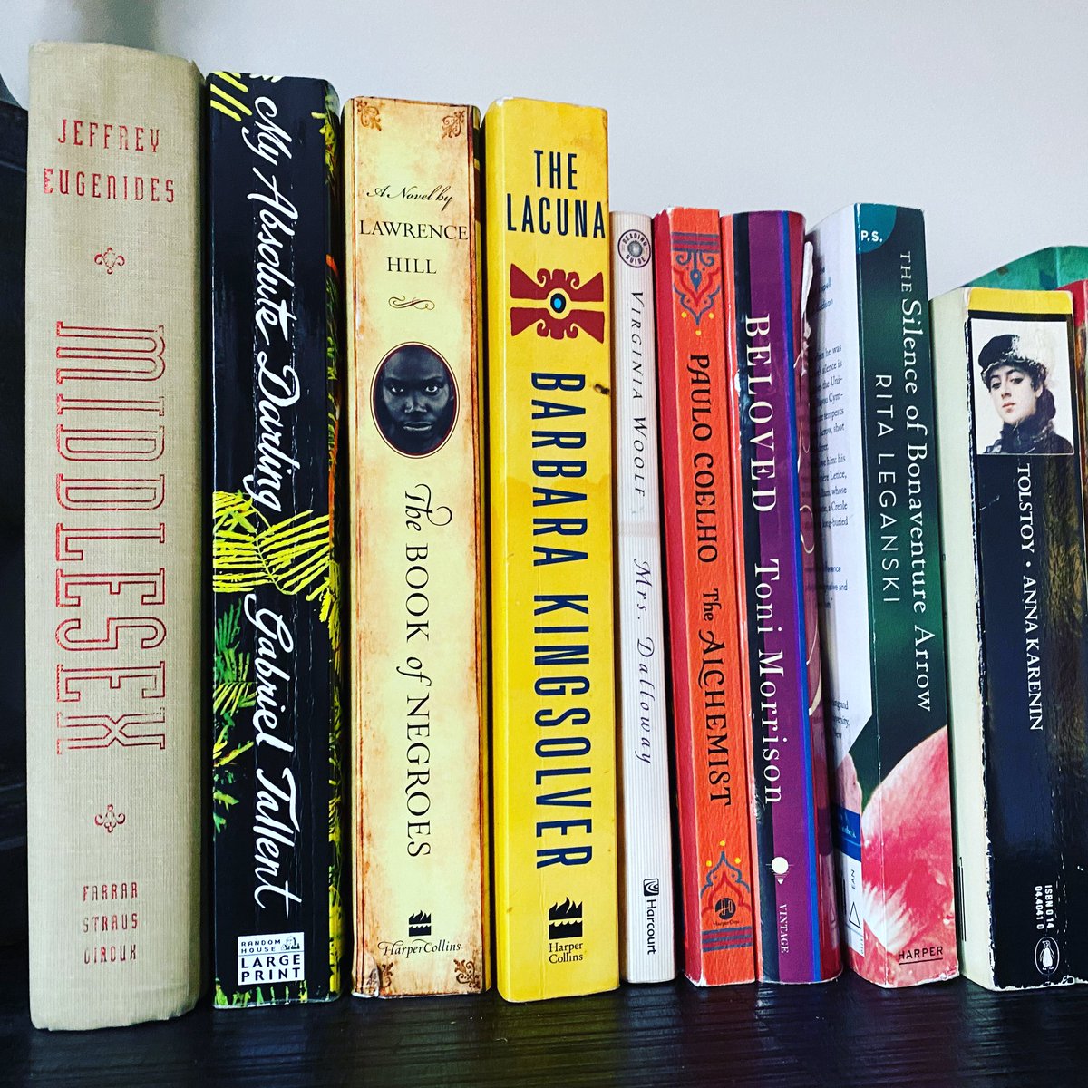 So much brilliance in just a few inches of space. I swoon over these authors and the gift they give by telling these stories. #booksofinstagram #literature #literacymatters #bookstagram #books #bookstagrammer #writersofinstagram #writer #writerscommunity #writingcommunity