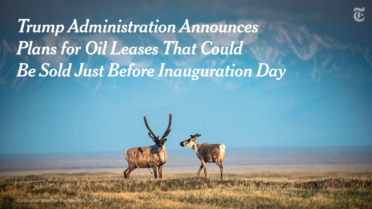 nytimes's tweet photo. The Trump administration on Monday moved to sell leases that would allow oil and gas drilling in Alaska's Arctic National Wildlife Refuge, a last-minute push for a long-sought administration goal.
The sales could occur just before Inauguration Day. https://t.co/SH39ASLalN https://t.co/lp7RGmbASV