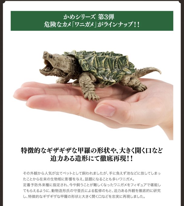 ワニガメのtwitterイラスト検索結果 ワニガメのtwitterイラスト検索結果