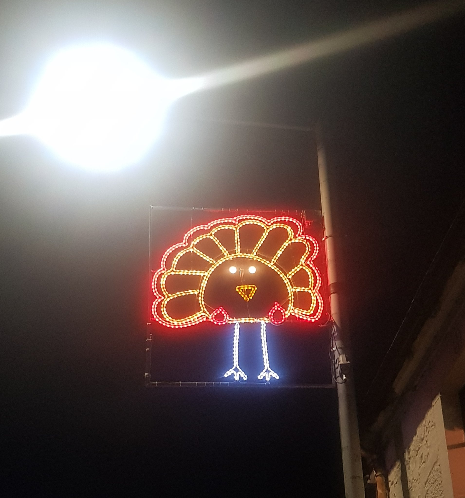 A photo of a city's Christmas lights on a light pole, in the shape of a child's drawing of a turkey