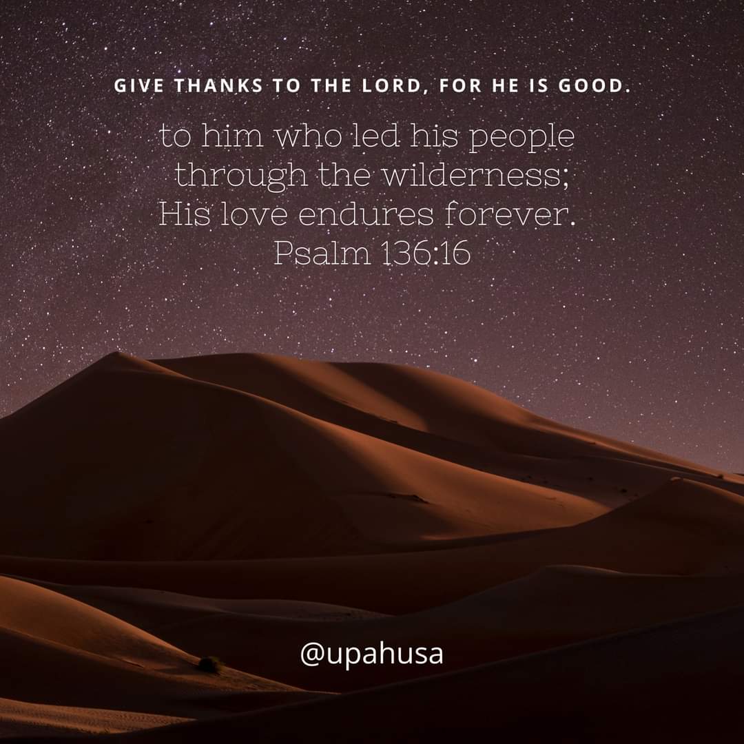 UPAHusa's tweet photo. Give thanks to the LORD, for HE is good.
To him who led his people through the wilderness;
His love endures forever. Psalm 136:16
#God #Jesus #HolySpirit #HisWord #LiveHisWord #PrayHisWord #TheBookisbetter #TheBible #November A #Word of #Encouragement for#You #Today #Forgiveness https://t.co/wMg7Y66NEV