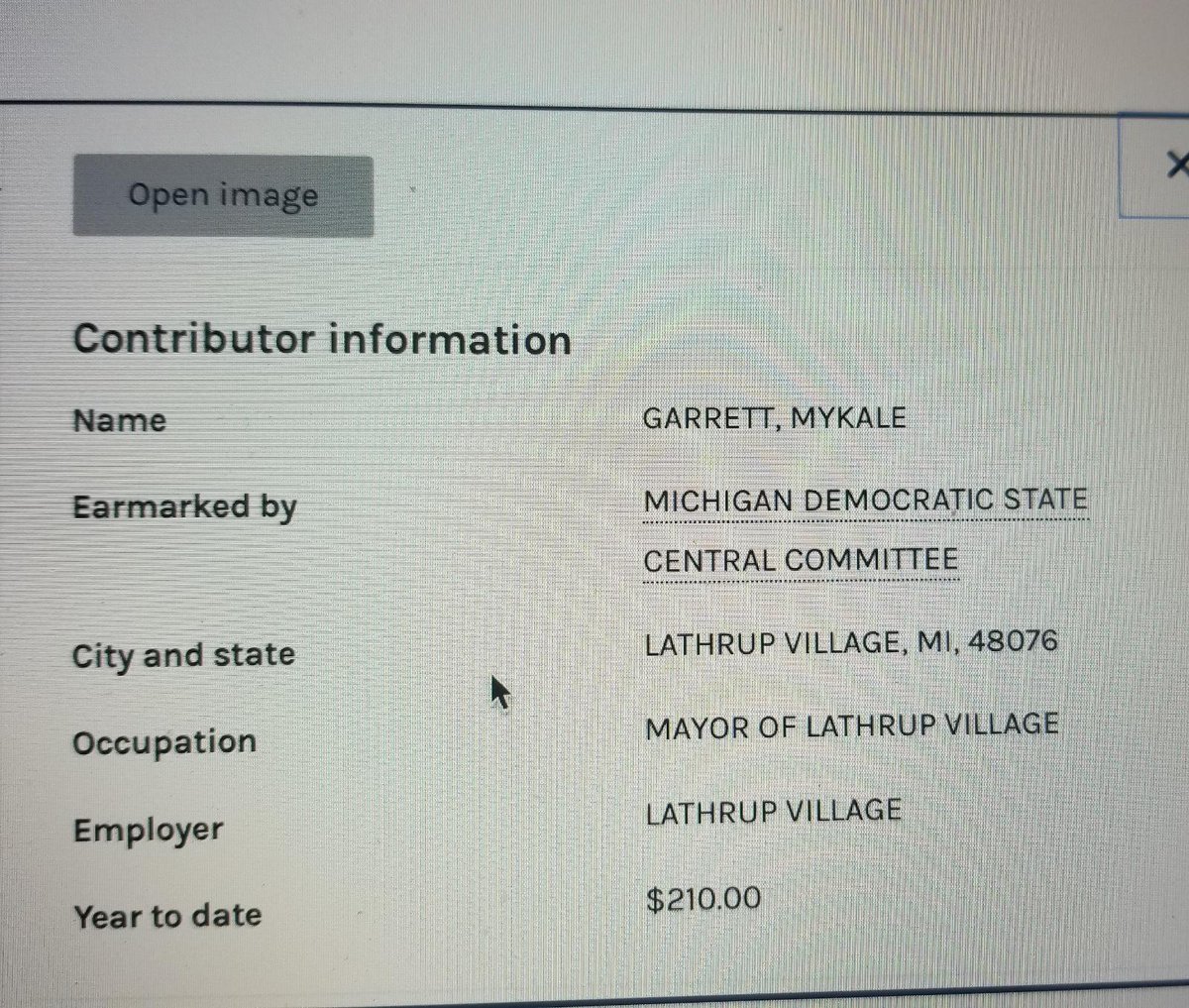Mykale Garrett, former Dominion project manager, now goes by Kelly Garrett and is the Mayor of Lathrup Village, Michigan. Conveniently left Dominion in 2019 to become involved heavily in Michigan politics having a full understanding of the machines in a swing-state?