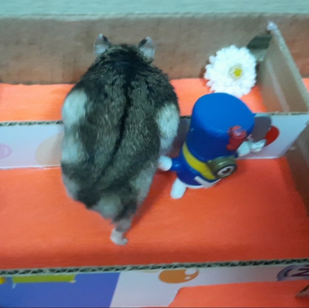 play_stepa's tweet photo. #НоваяАватарка https://t.co/9MQHq1dXgq