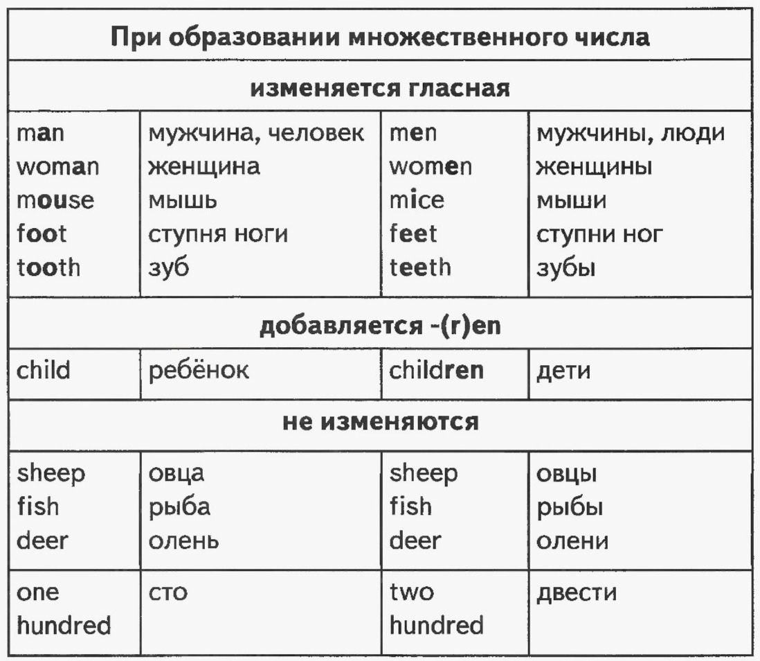 Грамматика начальной школы английский. Правила английского языка. Грамматика по английскому языку. Правило по английскому языку. Английская грамматика в таблицах и схемах.