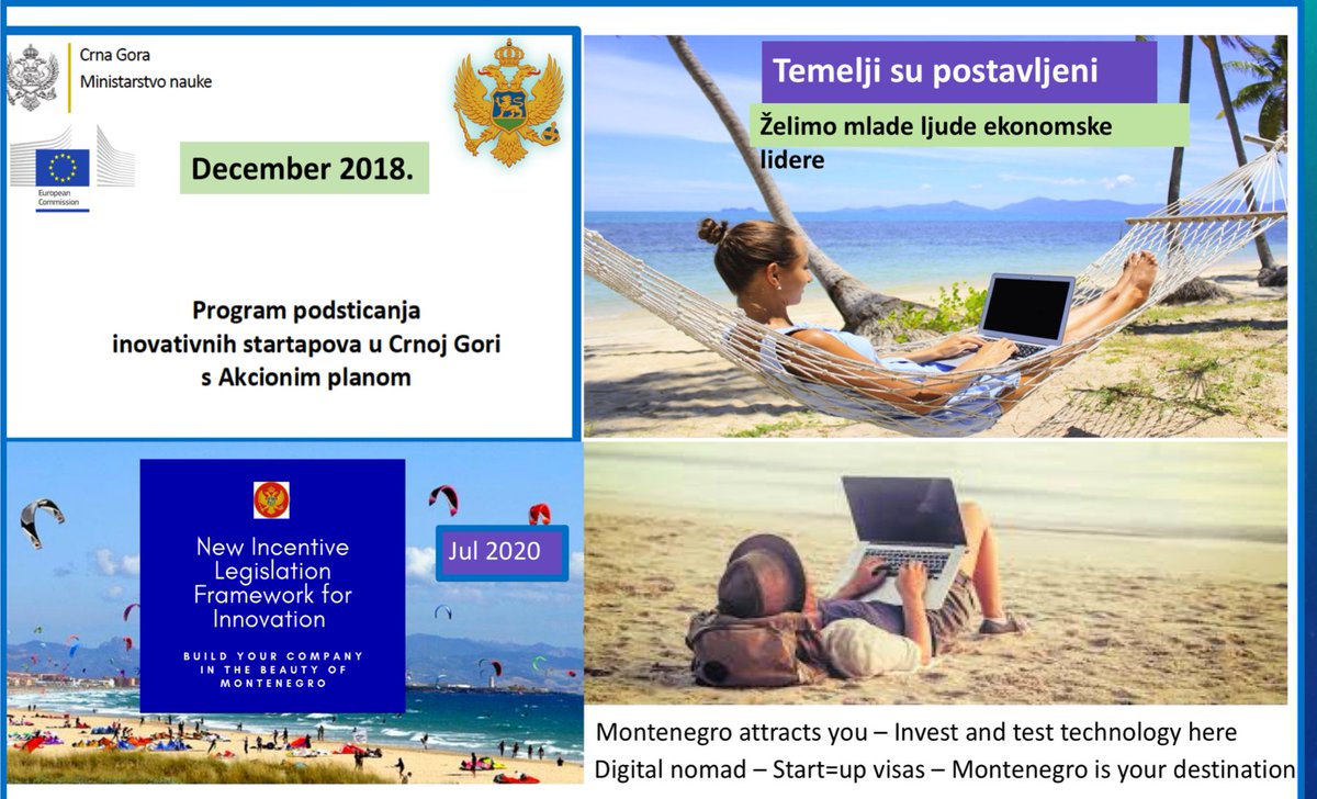 Sanja Damjanovic tweet media