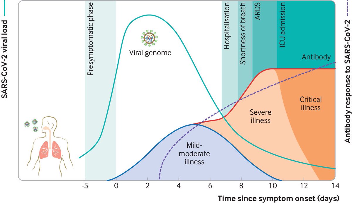  #Covid19 follows a biphasic pattern of illness that likely results from an early viral response phase and an inflammatory second phase. The immune response plays a substantial role in determining clinical outcomes. (5/9)( https://www.sciencedirect.com/science/article/abs/pii/S1198743X20302317)