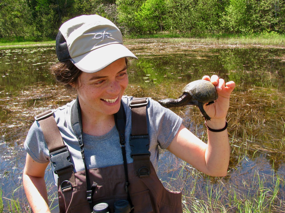 canuck_herps's tweet photo. Are you a job seeker or employer in the field of #herpetology? CHS is thinking of planning a VIRTUAL JOB FAIR for those looking for herp jobs in Canada 🇨🇦 during summer 2021. 
Help us gauge interest by filling out our SURVEY! 👇👇
https://t.co/GXdiDGvbPu

#summerjobs 🦎🐸🐢🐍🇨🇦 https://t.co/ja5ut15Fls