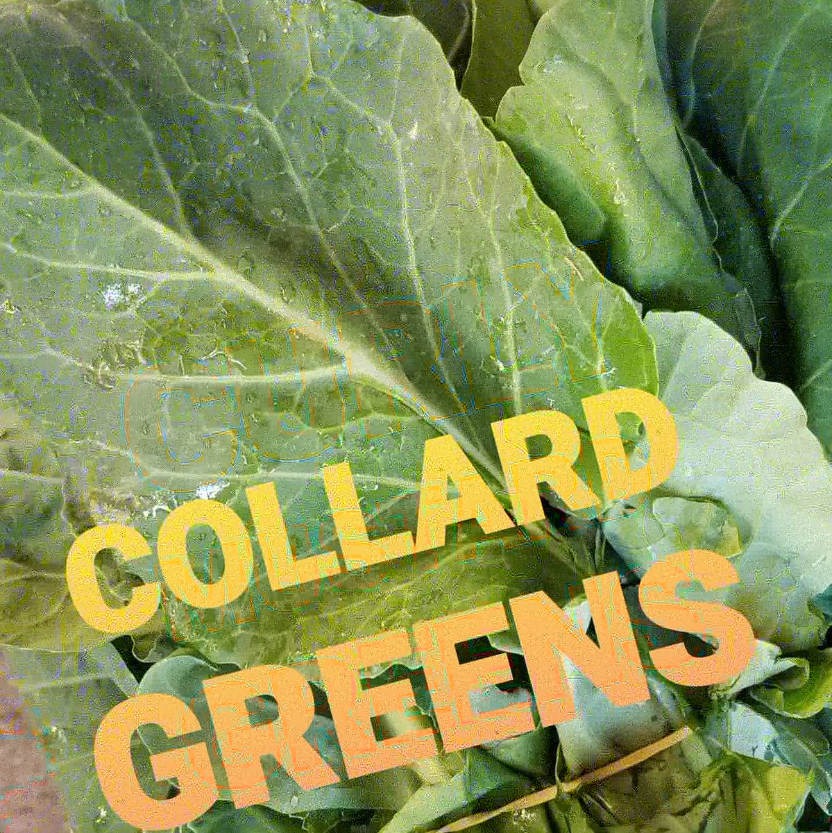 TolmachoffFarms's tweet photo. Greens are available 9am-5pm everyday at the farm produce stand. #greems #holidayfood https://t.co/8LnWSdXxtY
