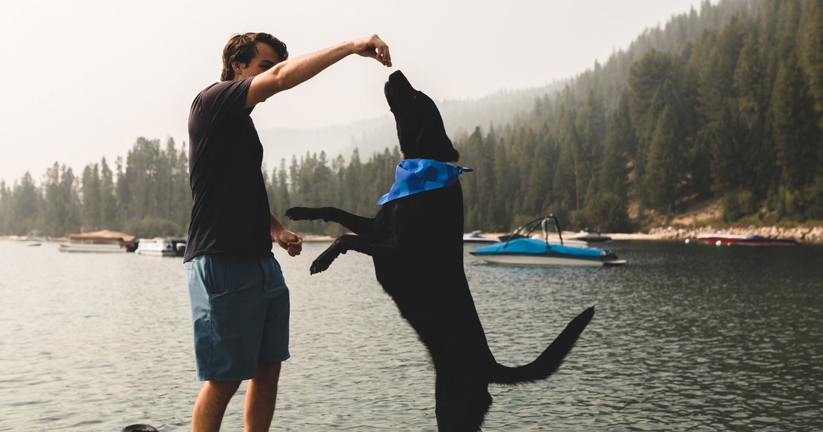 RemediShop's tweet photo. If your dog suffers from anxiety, restlessness, or joint pain, consider trying our pet tinctures - the perfect mix of CBD and a natural flavoring for a taste your pupper will love.
.
.
.
#cbd #cbdforpets #anxietyrelief #nature #cbdtinctures #tinctures #naturalremedy #petcbd https://t.co/gISxdtu962