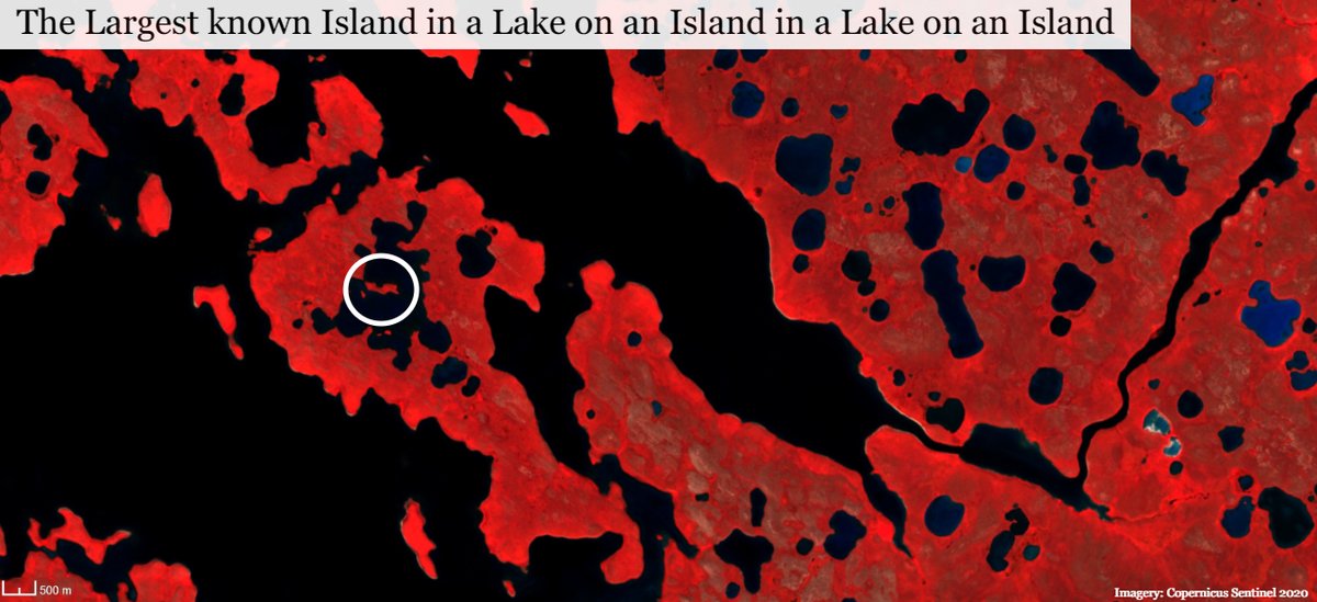 joewdavies's tweet photo. #30DayMapChallenge #Day16 Islands.

Located on Victoria Island in Canada, this unnamed island is the largest known island in a lake on an island in a lake on an island.

False colour imagery from @sentinel_hub  

#islandinalakeonanislandinalakeonanisland https://t.co/QN8ZArTZq7