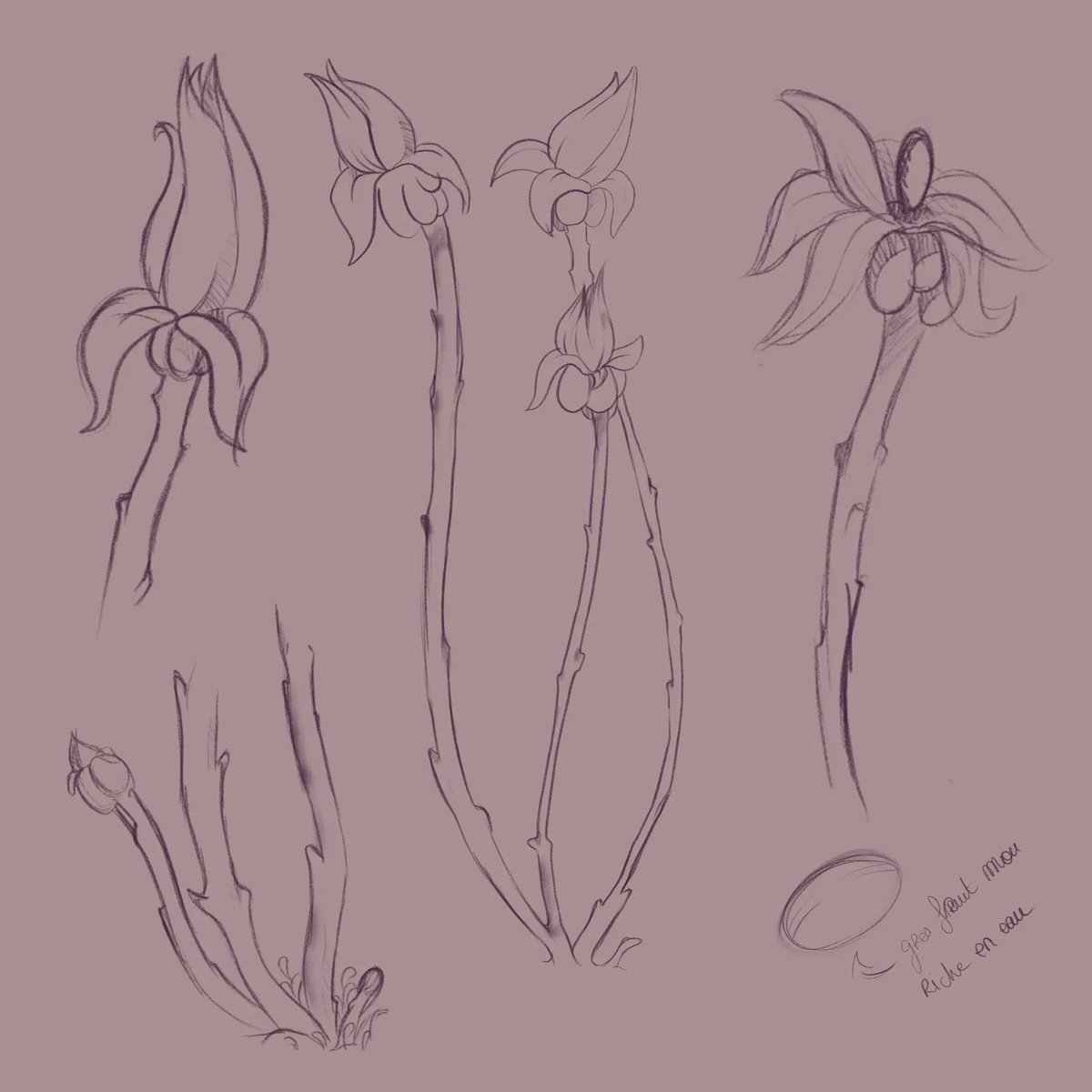 L'artBook du projet Sirius Games commence ! Je m'attaque successivement à la faune, puis à la flore, et j'alterne pour avoir du rythme. Je compte poster les croquis toutes les semaines jusqu'à la fin du travail.