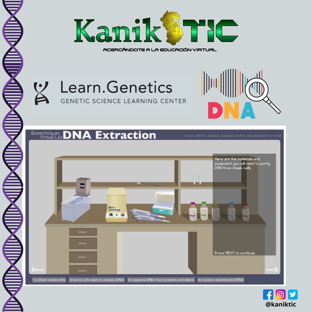 KanikTic's tweet photo. #LearnGenetics, un sitio web del Centro de Aprendizaje de Ciencias Genéticas de la Universidad de Utah ofrece materiales educativos, entre ellos existe un simulador de extracción de ADN y un protocolo para realizarla con materiales e ingredientes que puedes encontrar en casa. https://t.co/B2dOexPuRi