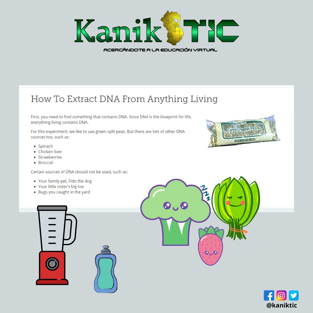 KanikTic's tweet photo. #LearnGenetics, un sitio web del Centro de Aprendizaje de Ciencias Genéticas de la Universidad de Utah ofrece materiales educativos, entre ellos existe un simulador de extracción de ADN y un protocolo para realizarla con materiales e ingredientes que puedes encontrar en casa. https://t.co/B2dOexPuRi