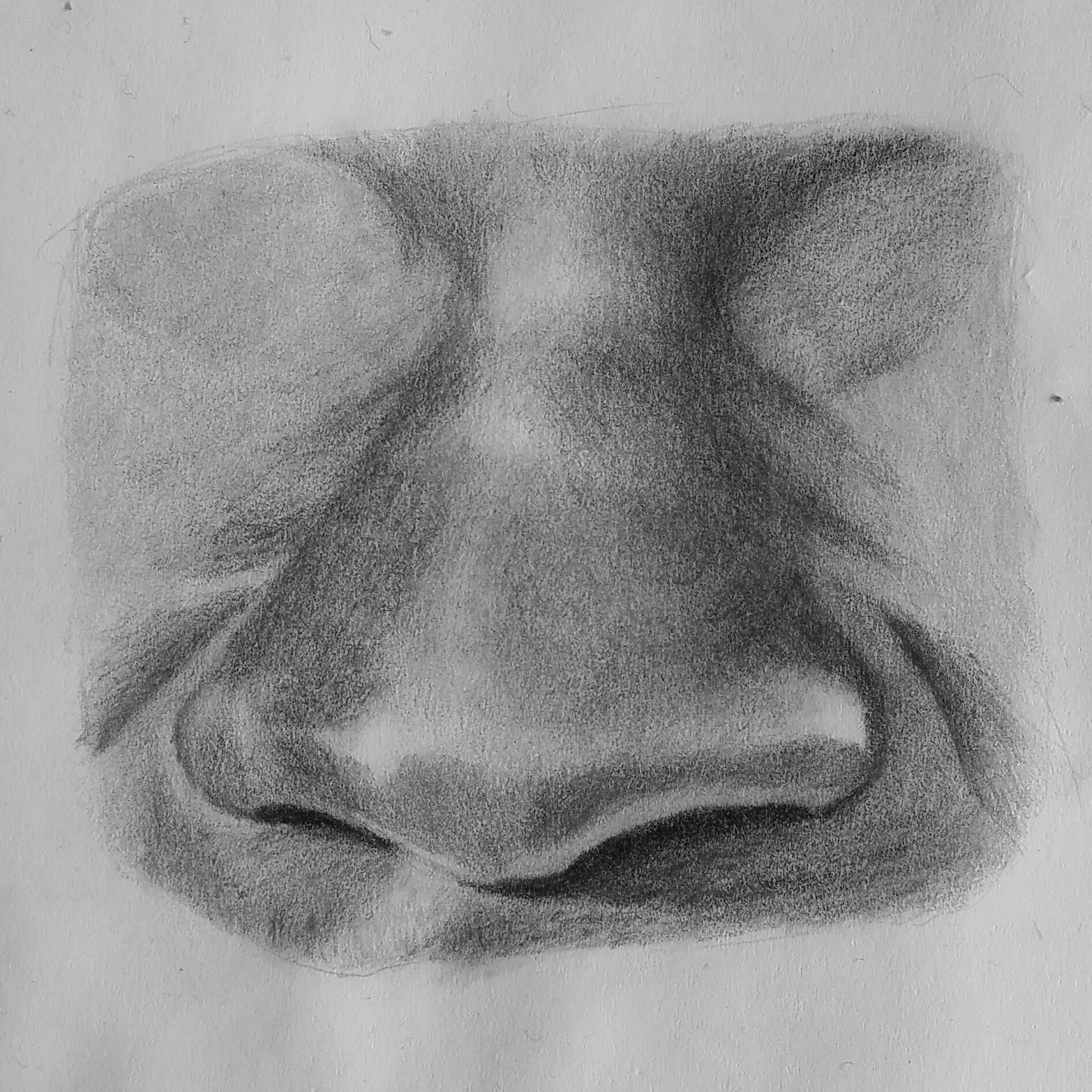 Realistic Nose Drawing