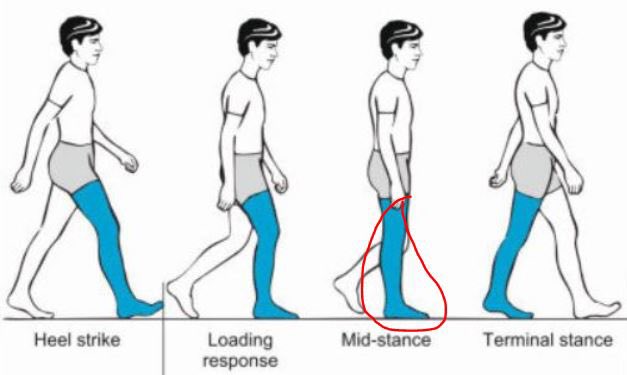 MID-STANCEThis is the phase of internal rotation. The shin angle becomes vertical to allow for a perpendicular line of force going into the ground as we load our bodyweight over that side.⁣The foot is biased towards pronation and at this point.