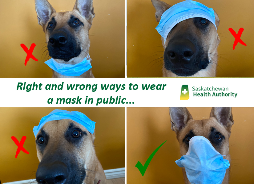 SaskHealth's tweet image. TY Copper for demonstrating the right &amp;amp; some wrong ways to wear a mask
✔ Wash your hands before touching
✔ Cover nose &amp;amp; mouth
✔ Fit snugly to face
✔ Ensure you can breathe easily

Wash hands + physically distance + wear a mask + keep social bubble small + stay home if ill