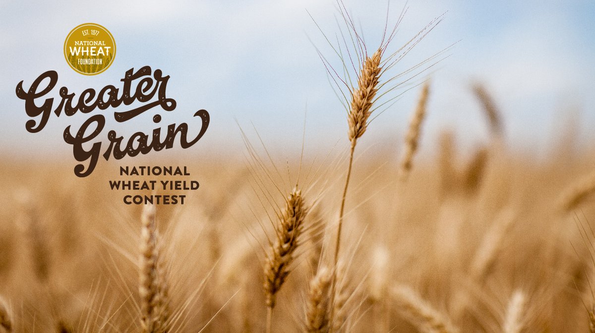 NationalWheat's tweet photo. The results are in for the 2020 National Wheat Yield Contest! Read the announcement to see who earned top spots for growing #GreaterGrain https://t.co/ZOfS9ByV0y https://t.co/0hXmoe4MpI
