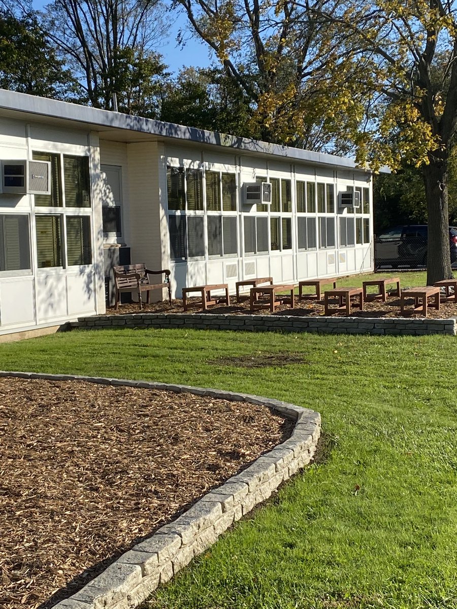 Mary O’Meara tweet media