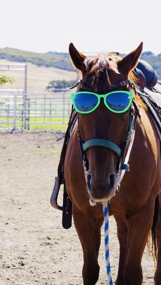 Jungkookthe baby. greatest joy in life is making his big brothers laugh