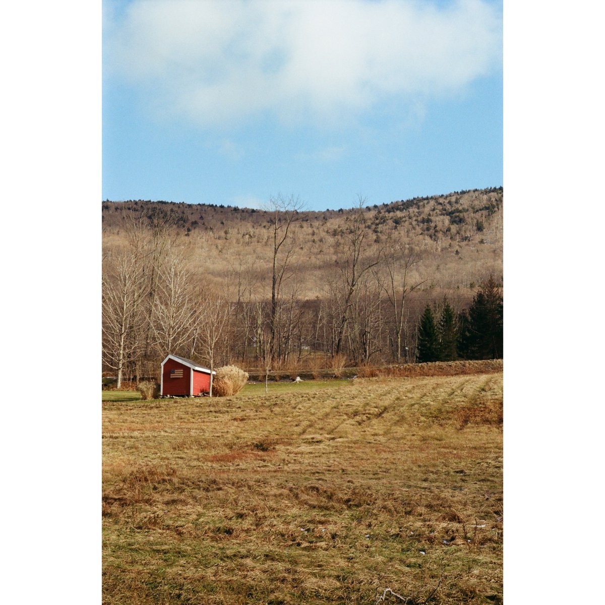 Pischonk's tweet photo. not so bad 🥄
•••
[Kodak ColorPlus 200 with Minolta SR-T 101; 2019.] #budsystem #35mm #35mmfilm #analogphotography #colorphotography #minolta #kodak #vermont #vermonster #vert #verd #verde #green #trueblue https://t.co/BqPcK5x99a