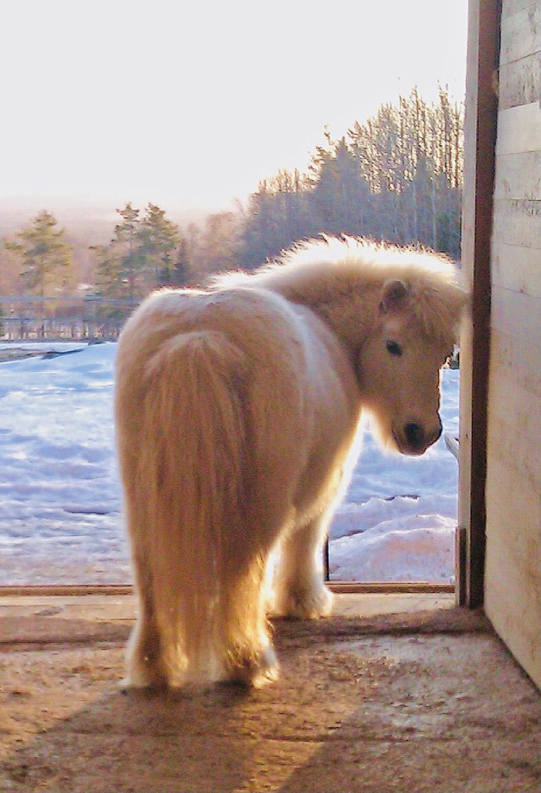 Jiminthe prettiest and he knows it