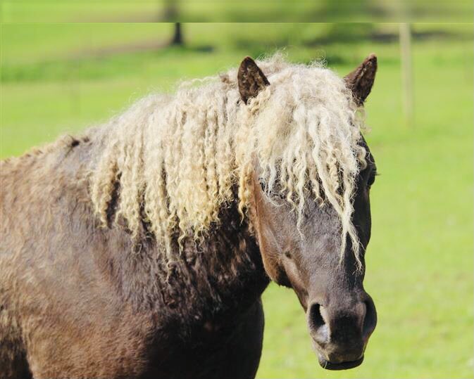 Taethinks he‘s a bear