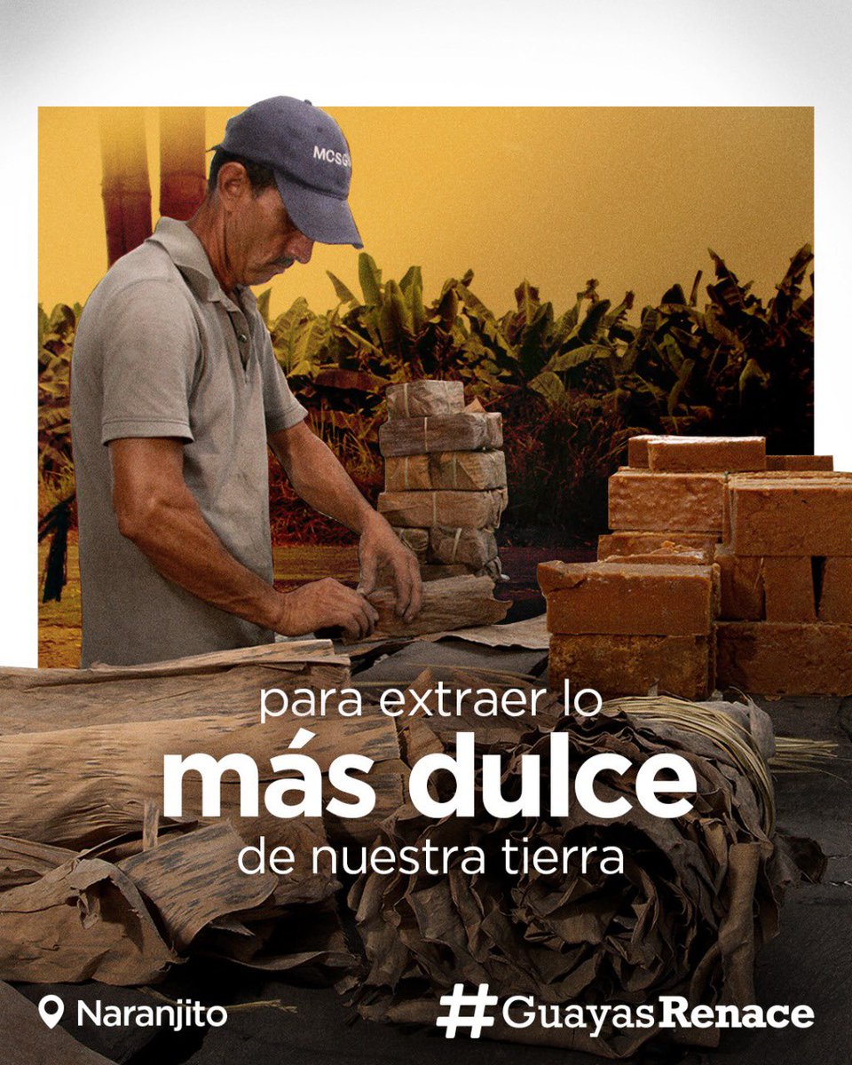 guayasrenace's tweet photo. ¡Hoy es la fecha más dulce del año...celebramos el Día de la Caña de Azúcar! 

Planta bendita que abunda en Naranjito, corazón de nuestra provincia, y de donde extraemos los más deliciosos manjares...

Porque en la caña de azúcar #GuayasRenace https://t.co/xS7OmKISEJ