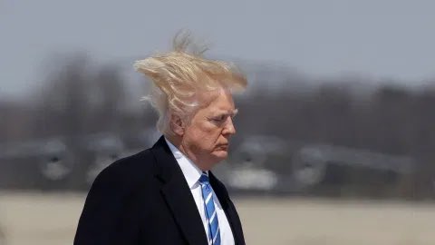 MichMadoo's tweet photo. @realDonaldTrump it’s a hair raiser 😂 https://t.co/Qn8bAGWb0i