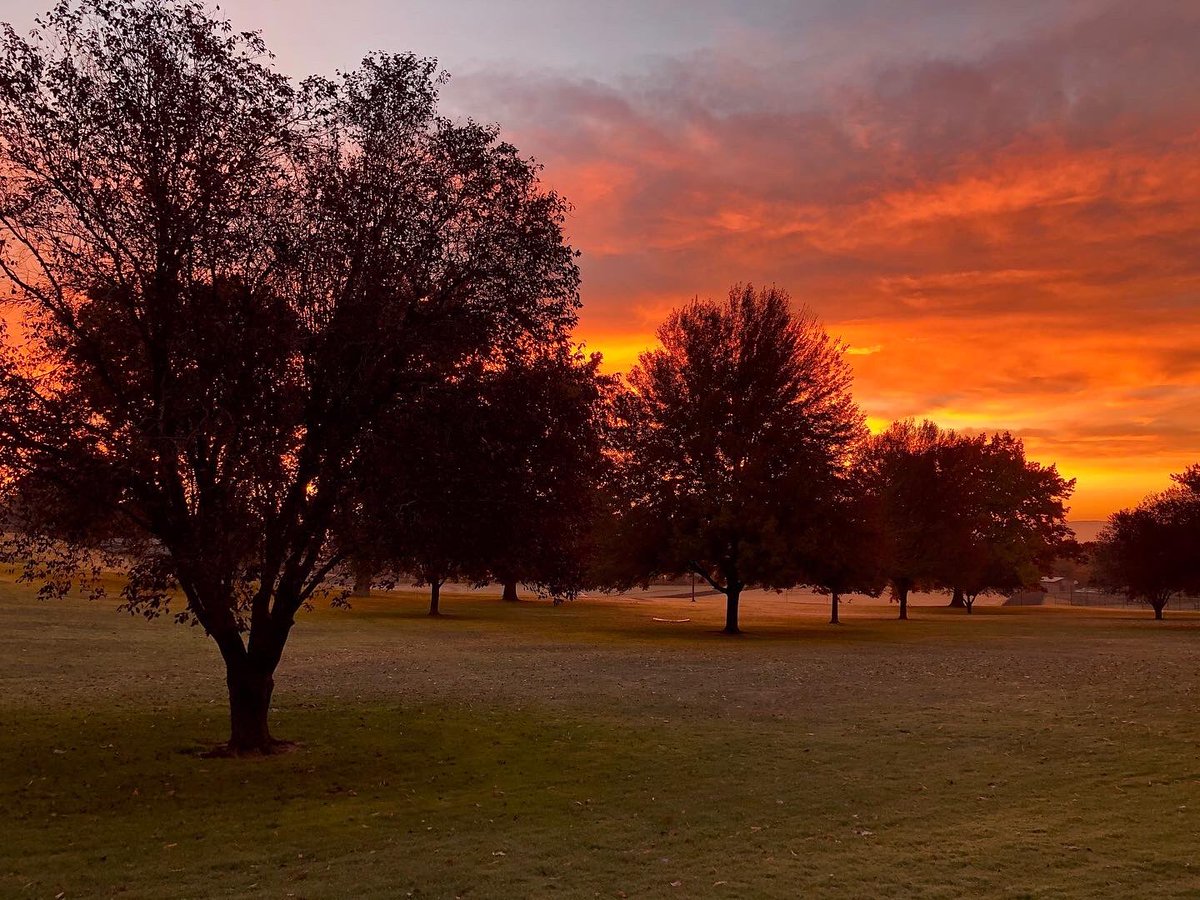 Kmrochel's tweet photo. #fall in #Yakima 🍂🍁🤎 https://t.co/mQsngAOBEA