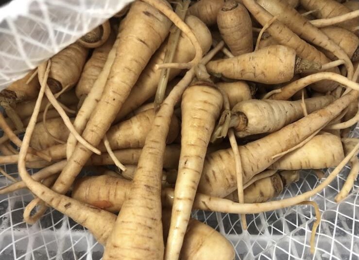 gwaunynant's tweet photo. Dewch i’r Big Bocs Bwyd yfory - mae’r silffoedd yn llawn! Come to the Big Bocs Bwyd tomorrow- the shelves are full! https://t.co/1ctCkJpBF3