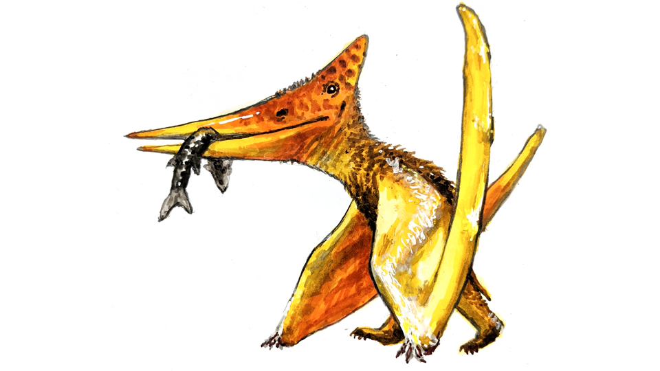 sciencemuseummn's tweet photo. You could use a break 💙 Settle in and print off one of our free science coloring pages or draw an ancient animal with our Science is Learning toolkit, now featuring a brand new Pteranodon draw along.

https://t.co/zH4hOs16hC https://t.co/XutUnnrL2X