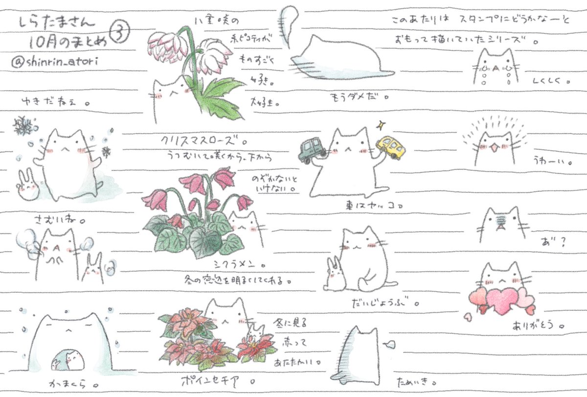 しらたまさん10月のまとめ、その3。
#しらたまさん

LINEスタンプにどうかなシリーズと、好きな冬の花です? 