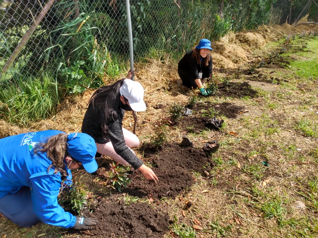 CAR_Cundi's tweet photo. 🌳 Acompañamos la siembra de 280 árboles en la Escuela El Hato y la ronda del río Teusacá en el municipio de La Calera. De esta manera, apoyamos la compensación de huella de carbono de la institución educativa, un proceso articulado entre docentes y padres de familia del plantel. https://t.co/ZRhUdyn1jE