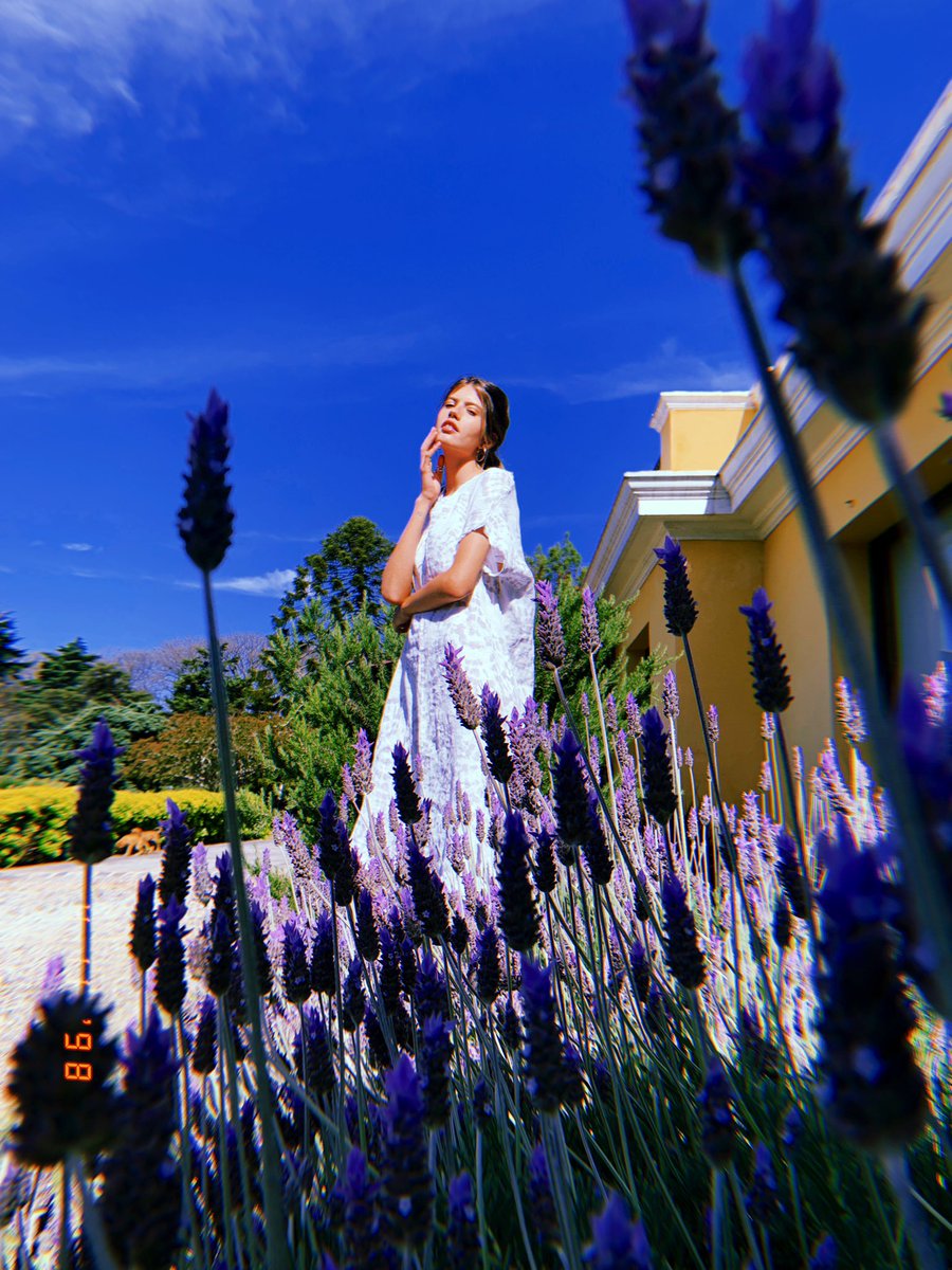 FuentValentina's tweet photo. Hoy hicimos fotos para @aurazapatos, en el lugar más lindo 😍 https://t.co/LwtlGFK1ZD