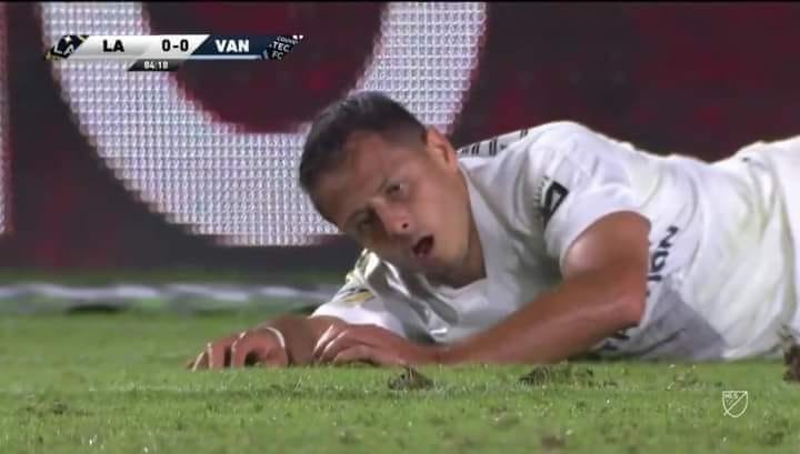_jeffrey_valle's tweet photo. Cuando ella quiere el segundo round, pero dejaste la vida en esos poderosísimos 30 segundos. https://t.co/ESfOP7y4at