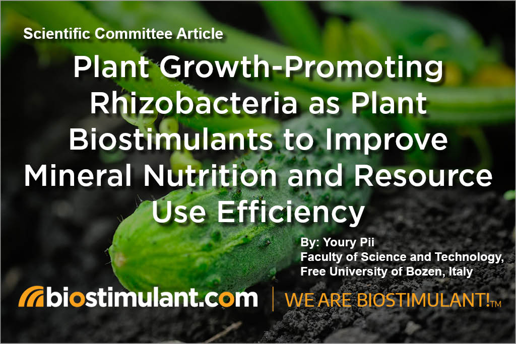 Biostimulant1's tweet photo. Plant Growth-Promoting Rhizobacteria as a #biostimulant in #agriculture may better exploit natural resources of #soil and improve #sustainability. Read our newly posted Scientific Committee Article here! https://t.co/K53oCoiDce https://t.co/uHimXxdkZH