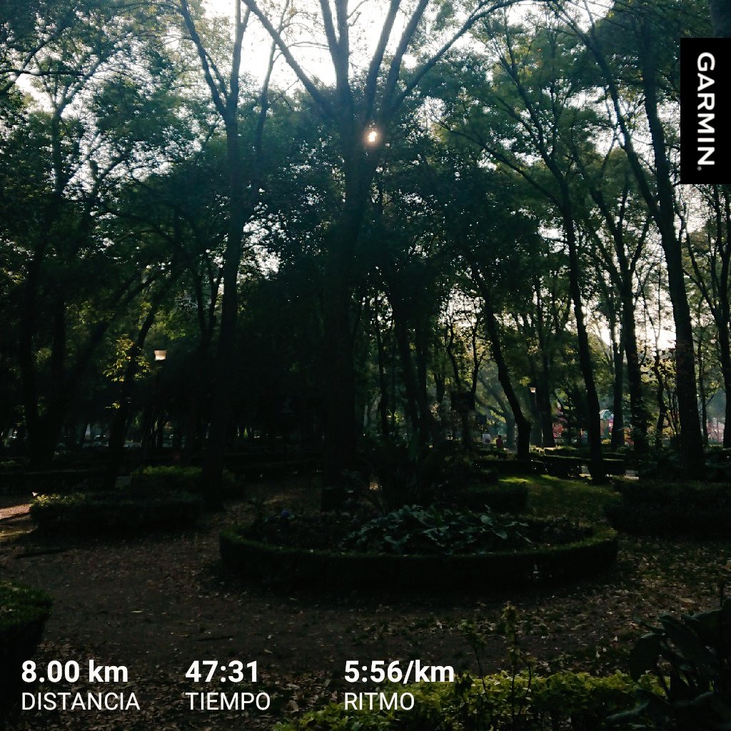 Darth_Homer's tweet photo. Coleccionista de #KmsFelices  #MiercolesDeSonrisas #FelizMiercoles #YoElegiCorrer #loverunsmile #CannotStopRunning #LonelyRunnerTeam #LosCobardesTeam #SinFrio #NatureLover #eresrunner #LTM #AcaEntreRunners 🏃🏽
Coach @timijaguar https://t.co/Qb56pDz8iG