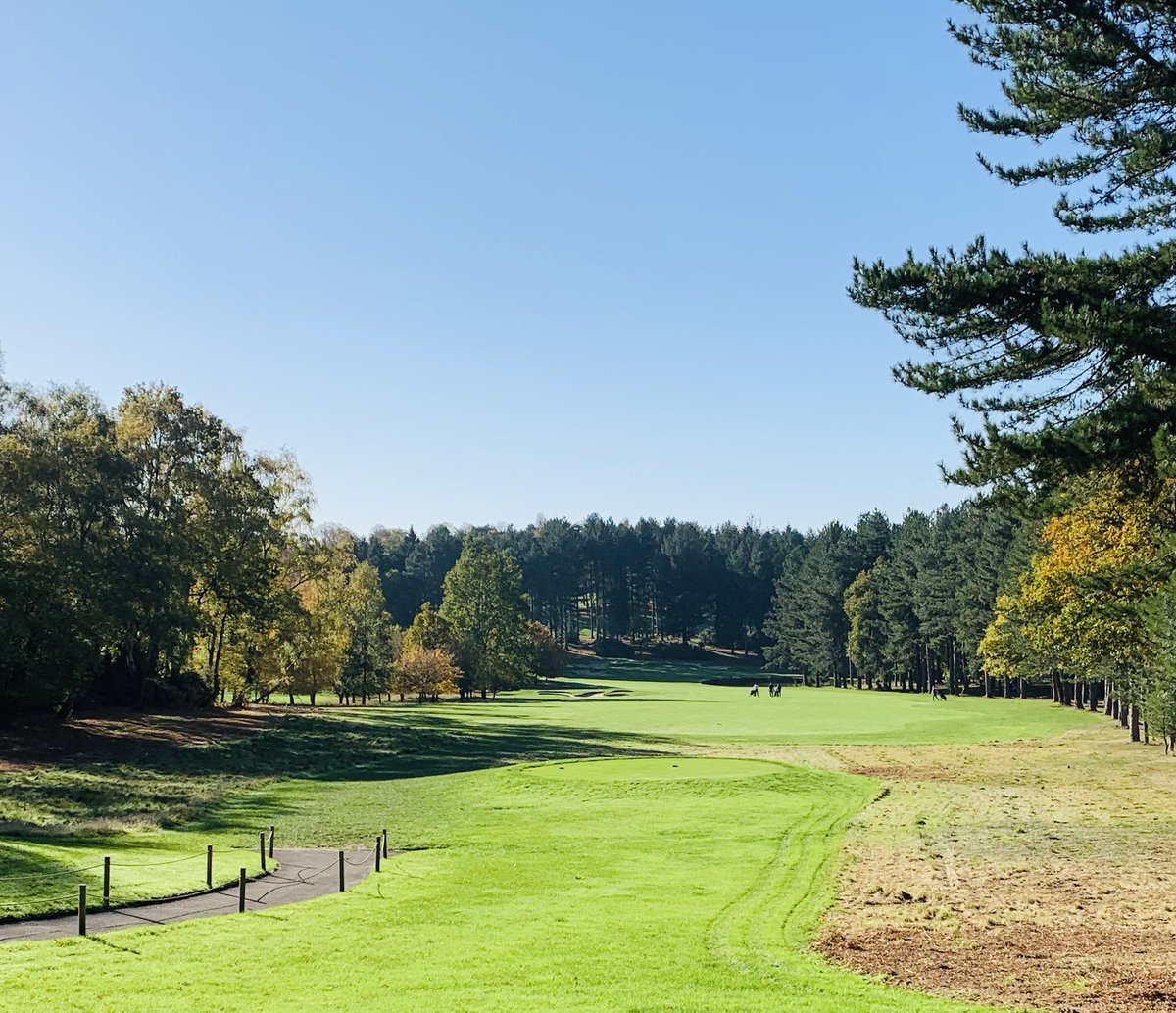 Jonny_Wilkes's tweet photo. Big thanks to all the staff &amp; members of @bearwoodlakes for this season !! What a course !! Thanks for making me feel so welcome in my first year of being a member !! Pics from today 🏌️‍♂️ https://t.co/o0hsOYhDrG