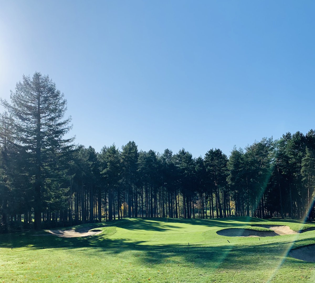 Jonny_Wilkes's tweet photo. Big thanks to all the staff &amp; members of @bearwoodlakes for this season !! What a course !! Thanks for making me feel so welcome in my first year of being a member !! Pics from today 🏌️‍♂️ https://t.co/o0hsOYhDrG