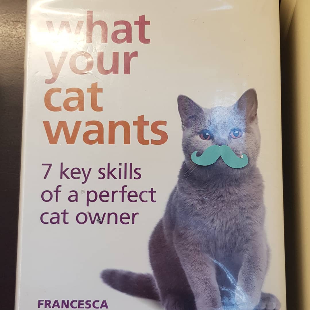 MrsBeggloves's tweet photo. Today I put small moustaches on book covers.
It helped.
#libraryworker #librarylife https://t.co/k4cU26UzR6