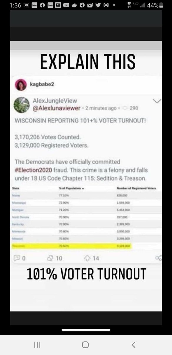 JoeSchmotv's tweet photo. To those of you that actually care about how the system of voting in this country works here we go. Wisconsin votes will be recounted do to voter fraud, Michigan is stuck because of multiple attempts at voter fraud here are screenshots of public officials asking for help. https://t.co/zjo30D6VrC