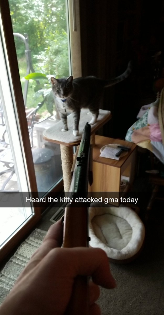 arethakush's tweet photo. @enews *TOY GUN* A joke to my brother. We do not harm kitties in this family.❤😂 https://t.co/PorCLRmJIt